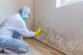 Best Commercial Mold Inspection  in Alondra Park, CA