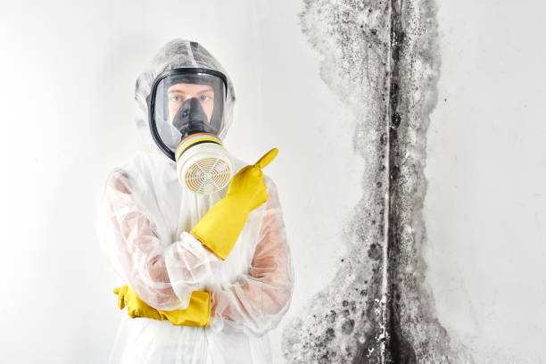 Best Forensic Mold Investigation  in Alondra Park, CA