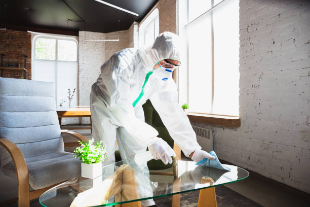 Best Emergency Mold Remediation  in Alondra Park, CA